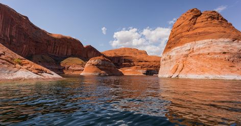 Explore Reflection Canyon via Boat, Lake Powell, Utah Reflection Canyon, Lake Powell Utah, Utah House, Lake Swimming, Boat Lake, Lake Powell, Boat Ride, Swimming Holes, Long Trips