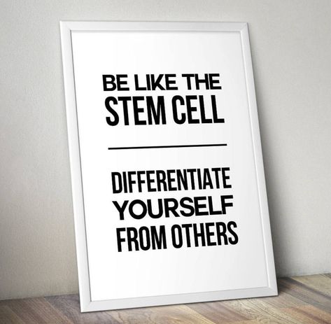 Be like a stem cell ☺️❤️ Biology Quotes, Stem Quotes, Cell Differentiation, Classroom Artwork, Biology Ideas, Biology Teaching, Biology Memes, Basic Science, Cord Blood Banking