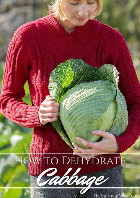 Dehydrate Cabbage, Fantasy Homestead, Dehydrated Cabbage, Dehydrate Recipes, Veggie Powder, Dehydrating Vegetables, Homemade Lifestyle, Drying Fruit, Dehydrating Recipes