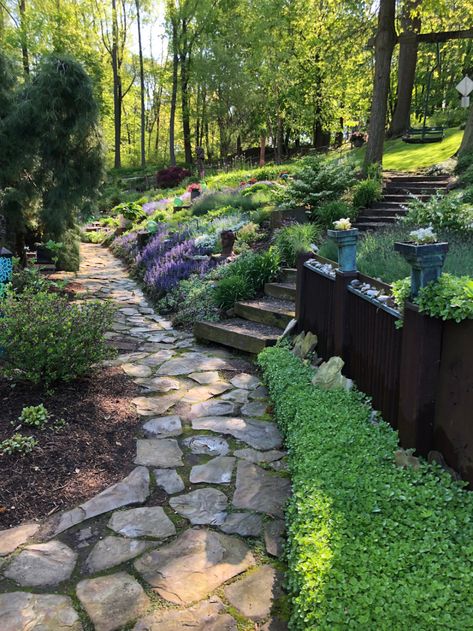 Sloped Garden Ideas, Sloping Garden Ideas, Maryland Garden, Edge Garden, Garden Ideas On A Budget, Sloping Garden, Gardening Magazine, Hydrangea Petiolaris, Fine Gardening Magazine