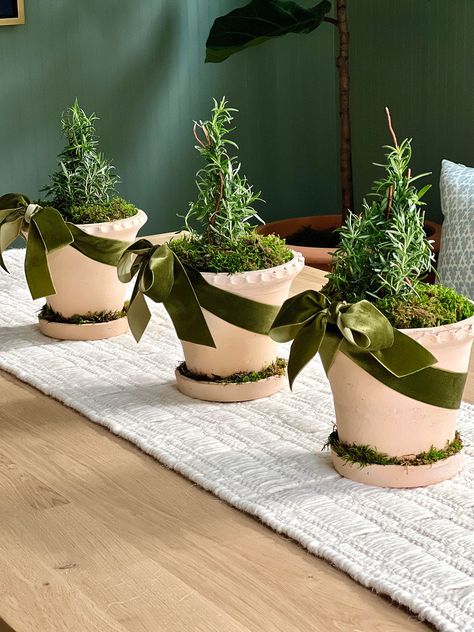 How To Make Mini Rosemary Christmas Trees For Your Centerpiece And More | Classic Casual Home Plants For Christmas Gifts, Christmas Wreath Centerpiece, Rosemary Tree Christmas, Christmas Plant Arrangements, Christmas Plant Ideas, Small Christmas Floral Arrangements, Holiday Centerpieces For Tables, Mini Christmas Tree Ideas, Greenery For Christmas