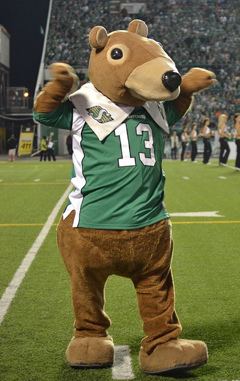 Gainer the Gopher, Saskatchewan Roughriders mascot. Saskatchewan Roughriders, Sports Advertising, Canadian Football League, Canadian Football, Cuteness Overload, Green Colors, Vault Boy, Teddy Bear, Football