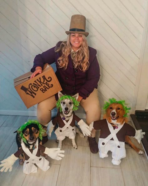 Group Dog Halloween Costumes, Halloween Costumes With 2 Dogs, Two Dog Costumes, Trio Dog Halloween Costumes, Costumes For Dog And Owner, Matching Halloween Costume With Dog, Family With Dog Halloween Costumes, Owner And Dog Costume Halloween, Dog Halloween Costumes For 2 Dogs