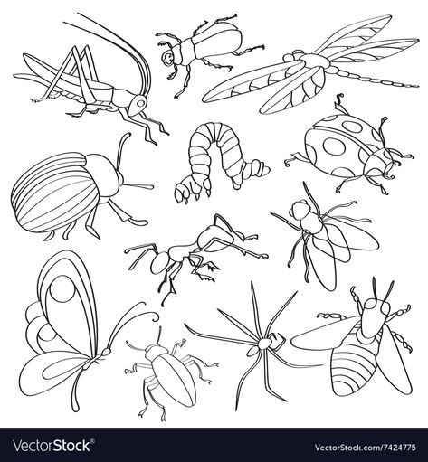 Insect Doodles, Easy Tattoos To Draw, Bugs Drawing, Doodle Wall, Name Paintings, Insect Wall, Snail Art, Bee Drawing, Doodle Vector