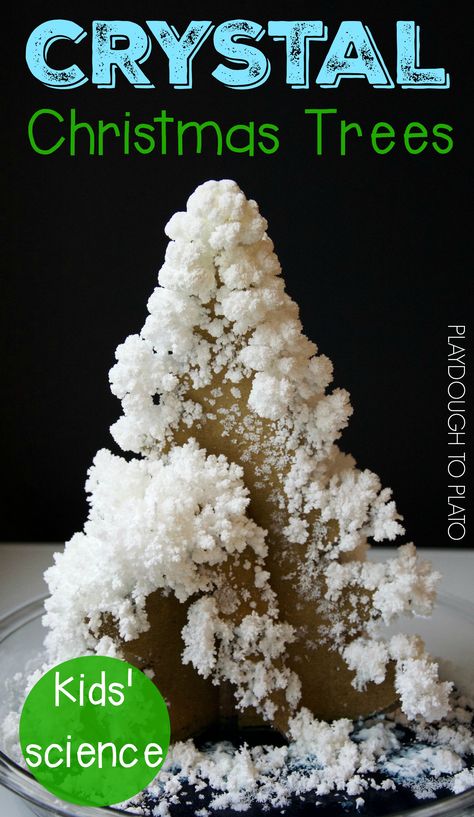 Crystal Christmas Trees! Awesome STEM activity for the holidays. Christmas Science Experiments, Holiday Stem, Playdough To Plato, Winter Science, Growing Crystals, Christmas Science, Christmas Stem, Farm School, Stem Activity