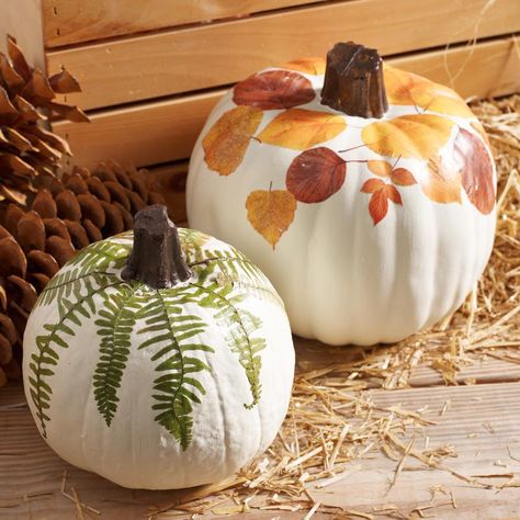 Use Mod Podge to decorate faux fall pumpkins with leaves. Easy no carve pumpkin decorating that is safe for the kids! #nocarvepumpkin #decoratepumpkin #pumpkinideas #porchdaydreamer No Carve Pumpkin Decorating, Porch Pumpkins, Halloween Pumpkins Painted, Pumpkin Projects, Creative Pumpkins, Theme Halloween, Pumpkin Crafts, Cute Pumpkin, Pumpkin Design