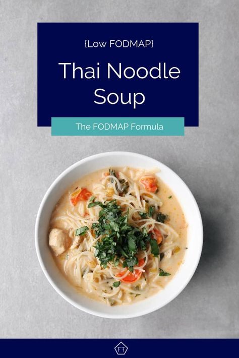 Low Fodmap Lunch, Ibs Diet Recipes, Recipes Low Fodmap, Low Fodmap Appetizers, Easy Low Fodmap, Thai Noodle Soups, Soup Thai, Fodmap Lunch, Fodmap Recipes Dinner