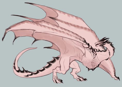 Fantasy Wyvern Concept Art, Morning Dragon Asoiaf, Wyvern Dragon Art, Winter Dragon Art, Dragon Concept Art Design Reference, Game Of Thrones Dragon Oc, Hotd Dragon Ocs, Wyvern Poses, Wyvern Anatomy