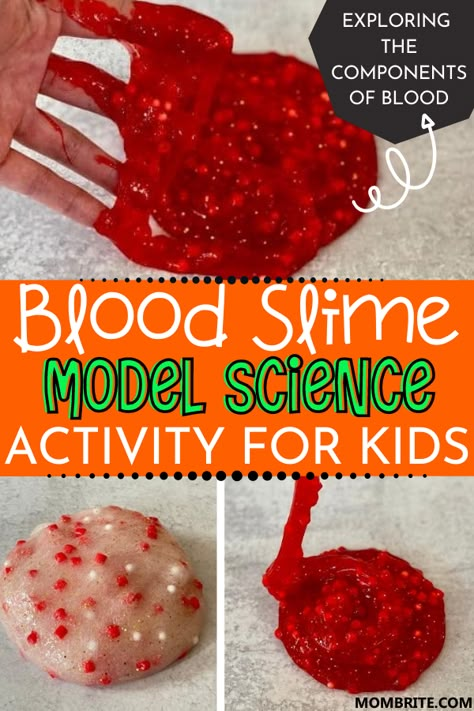 What are the components of blood? A fun learning activity and craft your preschooler and first grader will love, this Blood Slime Model is also a Halloween-themed kids activity perfect for exploring the human anatomy unit. Digestive System Crafts For Preschool, Anatomy And Physiology Projects Ideas, Skin Science Experiment, Anatomy Themed Snacks, Anatomy Crafts For Preschool, Preschool Human Body Crafts, Blood Projects For Kids, Human Body Sensory Activities, Anatomy And Physiology Projects