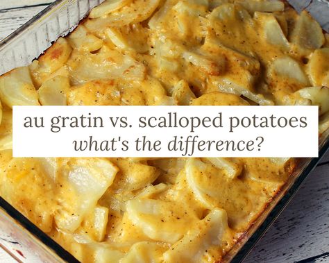 Au Gratin vs Scalloped Potatoes - What’s the Difference? - Just A Pinch Scalloped Potatoes With Bacon, Scalloped Potato Casserole, Au Gratin Recipes, Potato Dinner, Classic French Dishes, Scalloped Potato Recipes, Just A Pinch Recipes, Potatoes Au Gratin, Potato Gratin