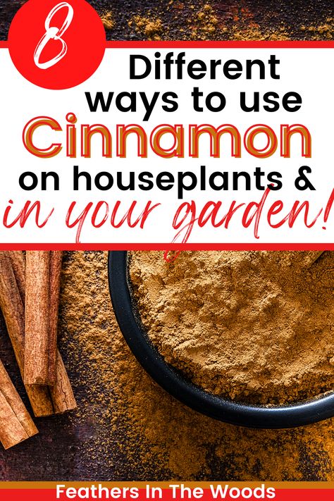 cinnamon for the garden Cinnamon For Plants, Rooting Hormone Diy, Cinnamon In The Garden, Plant 101, Cinnamon Plant, Cinnamon Garden, Cinnamon Uses, Survival Preparedness, Natural Pesticides