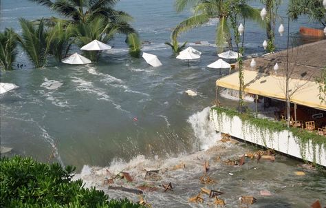 Beached Whale, Tsunami Waves, Tidal Waves, Gates Of Hell, Forces Of Nature, Natural Disaster, Surf City, History Of Photography, Wild Nature