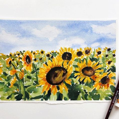 Field Of Sunflowers Watercolor, Watercolor Sunflower Field, Sunflower Watercolour Painting, Sunflower Drawing Watercolor, Watercolor Field Of Flowers, Sunflowers Watercolor, Sunflower Painting Watercolor, Watercolour Sunflower, Field Of Sunflowers