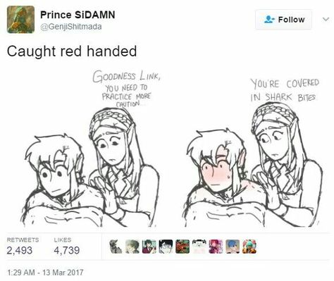 Link and Prince Sidonis Sidon Zelda, Link Sidon, Sidon Link, Link X Sidon, Sidon X Link, Prince Sidon, Botw Zelda, Legend Of Zelda Botw, Zelda Funny