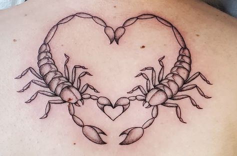 Imaginary Animals Draw, Scorpion Heart Tattoo Design, Cool Scorpio Tattoo, 2 Scorpions Tattoo, Double Scorpion Tattoo, Tattoos For Scorpios, Scorpio Heart Tattoo, Two Scorpions Tattoo, Scorpion Tattoo Heart