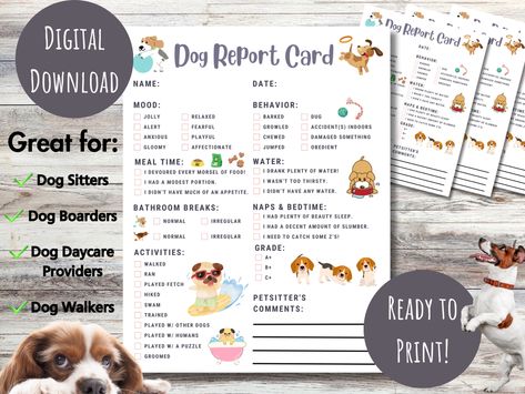 Dog report card instant digital download print at home for rover wag! Dog sitters walkers puppy boarding boarders groomer doggie day care Dog Report Card, Pet Sitting Business, Doggie Daycare, Report Cards, Report Card Template, Pet Boarding, Dog Stories, Report Card, Pet Day