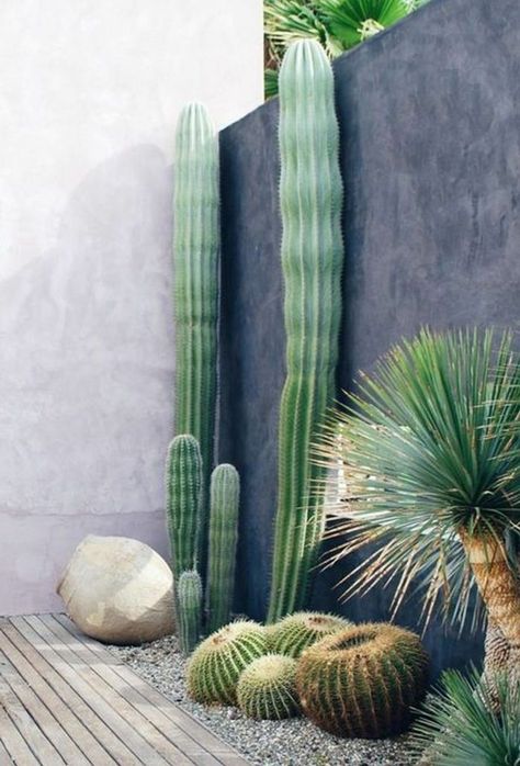 Cactus Garden Landscaping, Mexican Desert, Kaktus Dan Sukulen, Decorative Gravel, Desert Style, Desert Garden, Cactus Garden, Garden Care, Cactus Flower