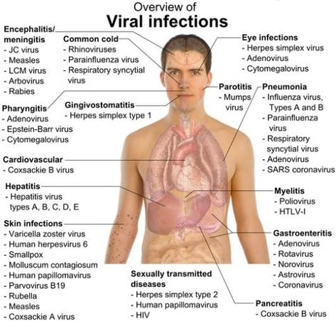 Infectious Diseases | Viral, Fungal and Parasitic Disease Overview Nurse Rock, Viral Infection, Nursing Tips, Nursing Study, Nursing Education, Nursing Notes, Medical Knowledge, Medical Education, Medical Information