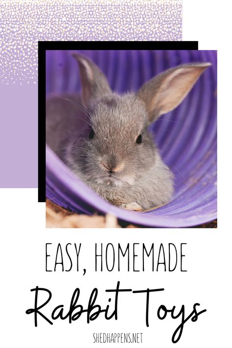 A small grey rabbit laying inside of a purple tunnel on top of a bed of shavings. Text states: Easy, homemade rabbit toys. How To Make Rabbit Toys Diy, Rabbit Cages Ideas, Diy Enrichment Toys For Rabbits, How To Make Bunny Toys, Diy Rabbit Treats Homemade, Bunny Boredom Busters, Homemade Treats For Rabbits, Diy Rabbit Enrichment Toys, Diy Rabbit Accessories