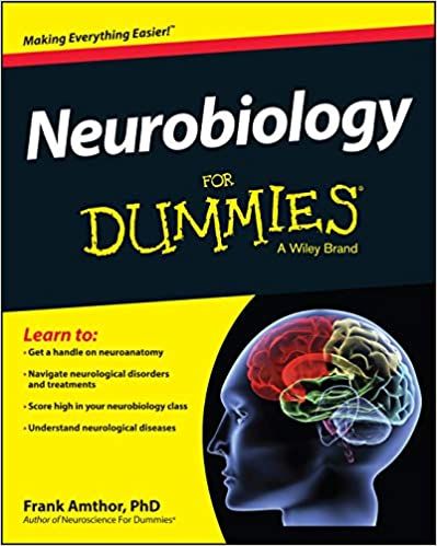 Neurobiology For Dummies Nervous System Anatomy, Human Nervous System, Dummies Book, Neurological Disorders, For Dummies, Anatomy And Physiology, Science Books, Pharmacology, Health Science