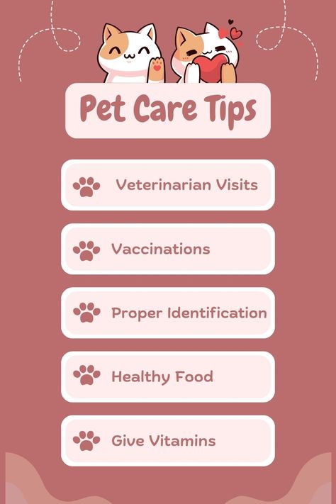 Check these important pet care tips for good pet health. Following these pet care instructions on daily basis does improve their health. Visit our store for best daily pet planner https://www.etsy.com/in-en/shop/suzzanedigitalart #petcare #petplanner #petcaretips #petcareinstructions #healthypets #pethealth Best Planner App, Pet Care Instructions, Grooming Hacks, Pet Care Business, Kids Pretend Play, Personalized Pet Gifts, Pet Wellness, Cat Care Tips, Pete The Cat