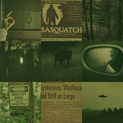 Cryptidcore Aesthetic, Paranormal Aesthetic, Apocalypse Aesthetic, Arte Alien, Paranormal Investigation, Ghost Hunters, Aesthetic Moodboard, Ghost Hunting, Gravity Falls