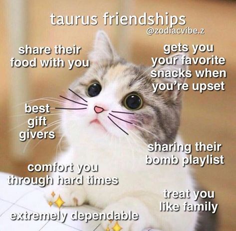 Taurus Memes, Taurus Traits, Libra And Taurus, Taurus Bull, Taurus Aries, Gemini Rising, Taurus Zodiac Facts, Taurus Quotes, Astrology Taurus