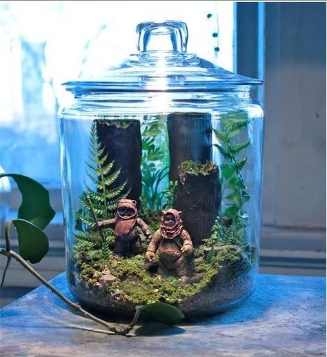 Endor Forest, Star Wars Zimmer, Forest Terrarium, Star Wars Bedroom, Star Wars Nursery, Star Wars Room, Terrarium Diy, Garden Terrarium, Terraria