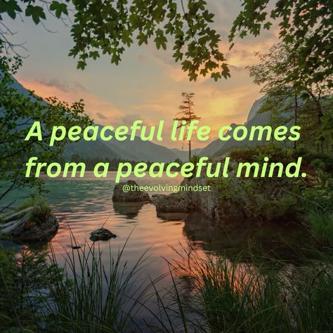 Peaceful Life Aesthetic, Choose Peace, Protect Your Peace, Peaceful Mind, Peaceful Place, Exotic Places, Peaceful Life, Heartfelt Quotes, Attitude Quotes