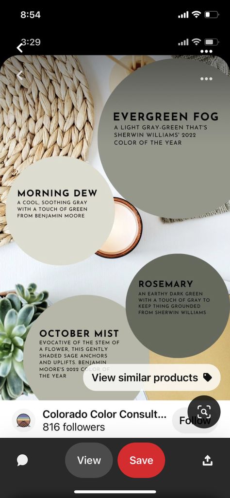 Morning Dew Paint Color, Benjamin Moore Morning Dew, Morning Dew Benjamin Moore, Indoor Paint Colors, Benjamin Moore Kitchen, Indoor Paint, Touch Of Gray, Sherwin Williams Paint Colors, Perfect Palette