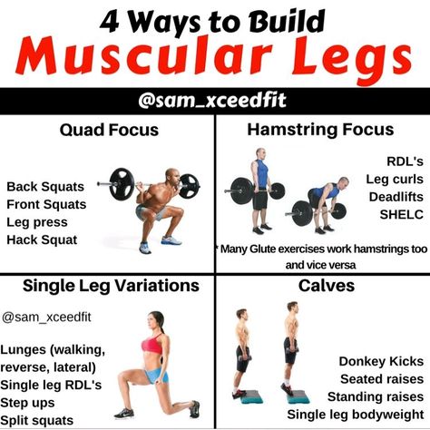 4 Ways to Build Toned Legs Muscular Legs Workout, Leg Workouts For Men, Powerlifting Workouts, Kettlebell Workouts, Lose Thigh Fat, Muscular Legs, Mens Workout, Workout Splits, Leg Training