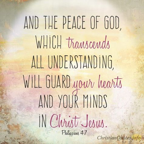 Daily Devotional - 4 Things About The Peace Of God:  Philippians 4:7 #Christianquote Beautiful Bible Quotes, God Peace, The Peace Of God, Spring Quotes, Health Tea, Inner Peace Quotes, Peace Of God, Awesome God, Quotes God