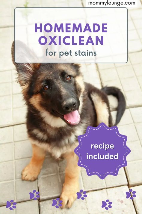 Diy Oxiclean, Diy Oxyclean, Homemade Oxiclean, Pet Stain Remover, Homemade Stain Removers, Remove Pet Stains, Diy Stain Remover, Laundry Detergent Recipe, Detergent Recipe