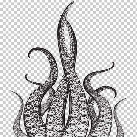 Octopus Drawing Black And White, Octopus Tenticals Drawing, Cracken Octopus Drawing, Tenticals Reference Drawing, Octopus Tentacle Drawing, Octopus Tentacle Tattoo, Octopus Tentacles Tattoo, Octopus Line Drawing, Tentacle Drawing