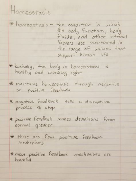 homeostasis Hesi A2 Study Guide Biology, Biology Homeostasis Notes, Homeostasis Biology Notes, Homeostasis Notes, Massage Drawing, Test Notes, Tissue Biology, Hesi A2, Study Anatomy