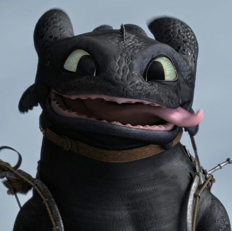 Cute Toothless, Httyd Toothless, Dragon Icon, Httyd Art, Toothless Dragon, Dragon Images, Httyd Dragons, Dragon Trainer, Dragon Rider