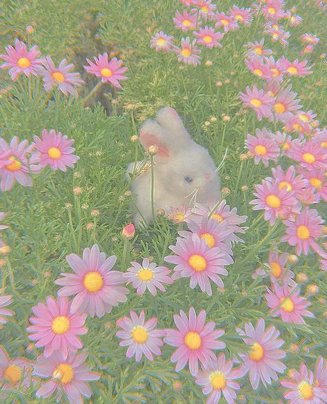 cottagecore, cottage, fairy, fairycore, pastel, nature, aesthetic Pastel Nature Aesthetic, Kidcore Aesthetic Wallpaper, Pastel Cottagecore, Pastel Nature, Pastel Kidcore, Creepy Cute Fashion, Cottagecore Wallpaper, Iphone Wallpaper Cat, Cottagecore Cottage