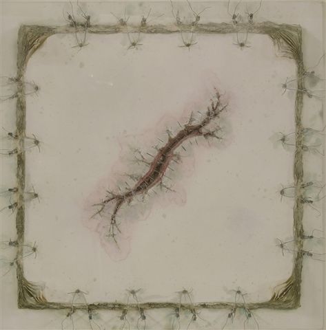 View Wound drawing no. 8 (scar) (2002) By Cathy de Monchaux; paper, watercolour, wire and nails; 71 x 71 cm, cased; Signed; . Access more artwork lots and estimated & realized auction prices on MutualArt. Gore References, Wind Drawing, Only Hearts, A Level Art, No 8, Drawing Techniques, Drawing Reference, Exhibitions, Painting & Drawing