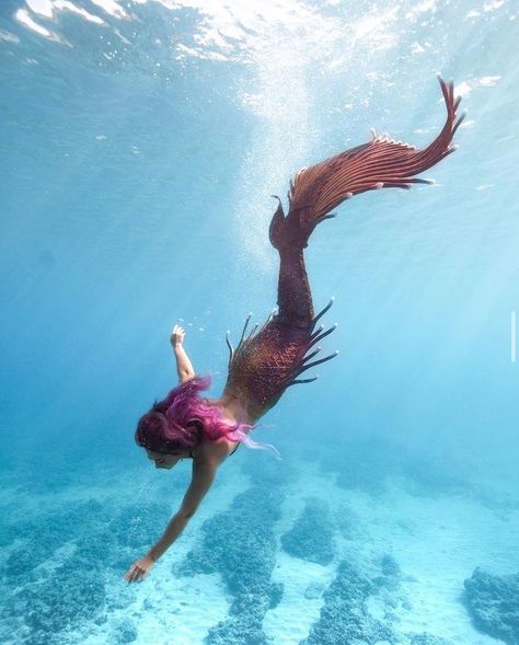 Evil Mermaids, Mermaid Inspiration, Mermaid Pose, Realistic Mermaid, Mermaid Stories, Silicone Mermaid Tails, Mermaid Photography, Save The Ocean, Mermaid Crafts