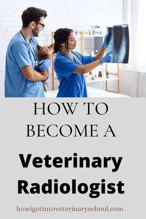 Veterinary radiologists play an important role in helping to diagnose and treat diseases in animals. The process of becoming a veterinary radiologist is long and rigorous, but the end result is a rewarding career with a high salary. #veterinaryradiologist #ACVR via @veterinaryschool Jobs With Animals, Veterinary Radiology, High Salary, Gre Score, Veterinary School, School Site, Animal Experiences, Diagnostic Imaging, Vet School