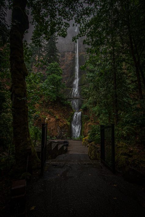 Oregon Images | So when it rains Is when I like to visit popular spots like Multnomah falls , it's when you can enjoy the view without all the people in high heels sn... Oregon Rain, Grants Pass Oregon, Oregon House, Beautiful Oregon, Grants Pass, Multnomah Falls, Facebook Groups, When It Rains, Rainy Days