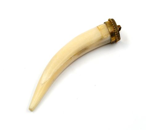 Excited to share the latest addition to my #etsy shop: White Bone Tusk Horn Pendant / 4.25" Bone Tusk Tooth Horn Pendant / Tribal / Bohemian Large Tusk Horn / DIY Jewelry Making Supplies https://etsy.me/2WHP1ST #white #jewelrymaking #animals #bonehorn #raregemsnjewels Horn Diy, Tooth Pendant, Schmuck Diy, Carnelian Jewelry, Carnelian Necklace, Bone Horn, Horn Pendant, Mini Pendants, Blue Quartz