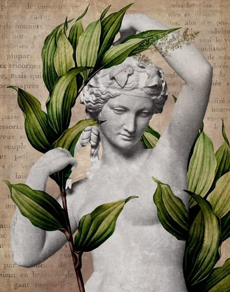 Hellenistic Art, Statue Of A Woman, Vintage Style Poster, Herb Art, Botanical Collage, Mystic River, Book Lover Gifts, Academia Decor, Iphone Theme