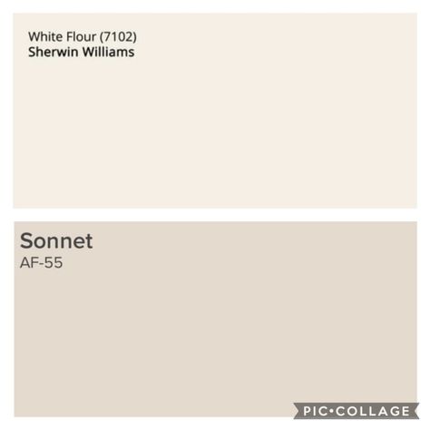 Benjamin Moore Lenox Tan, Benjamin Moore Sonnet Paint, Benjamin Moore Sonnet, Moonshine Paint Benjamin Moore, Benjamin Moore Mannequin Cream, Benjamin Moore Horizon Oc-53, Sherwin Williams White, Paint Palette, Benjamin Moore