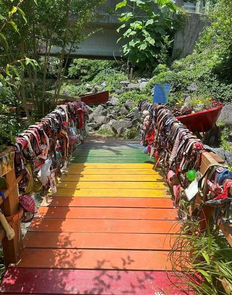 Lake Lure North Carolina, In The Dog House, Fluffy Critter, Misty Eyes, Gone But Not Forgotten, Living With Dogs, Lake Lure, Animal Stories, Dog Houses