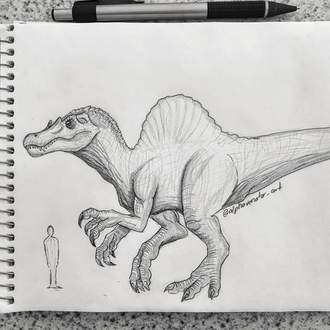 T-rex Art, Dinosaur Pencil, Dino Drawing, Dinosaur Sketch, Real Dinosaur, Cool Dinosaurs, Dinosaur Drawing, Dinosaur Illustration, Speed Art