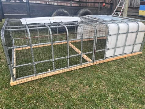 Ibc Container Chicken Coop, Ibc Container Ideas, Quail Coop, Chicken Coop Garden, Chicken Pen, Chicken Tractors, Backyard Chicken Coop, Backyard Chicken Coop Plans, Diy Chicken Coop Plans