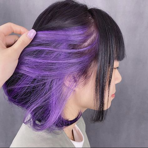 Black And Purple Bob Hairstyles, Under Hair Dye Purple, Under Hair Dye, Under Hair Color, Short Purple Hair, Curled Hairstyles For Medium Hair, Purple Hair Highlights, Color Block Hair, Dyed Hair Purple