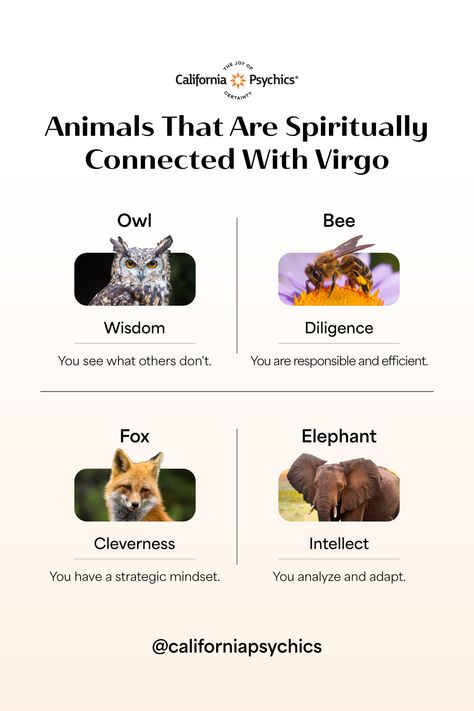 The grace and analytical mind of Virgo is reflected in the animal kingdom. These animals embody the grounded spirit possessed by the sign of Virgo, distinguishing themselves as clever and hardworking.  Which of these animals do you resonate with most? Take a moment to acknowledge the Virgo traits that make you great! 🦉👇 #SpiritualCompanions #VirgoPower Virgo Spirit Animal, Virgo Animal, Analytical Mind, Spiritually Connected, Virgo Zodiac Sign, Virgo Traits, Virgo Horoscope, Zodiac Signs Horoscope, Virgo Zodiac