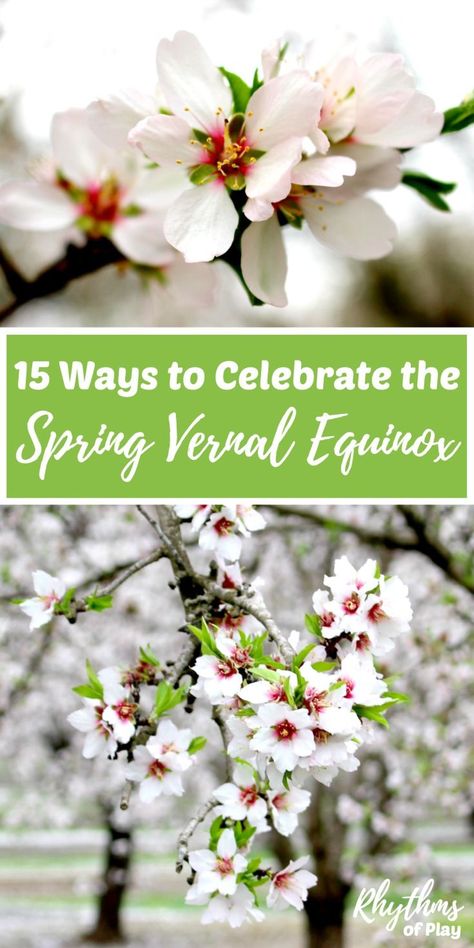 The spring vernal equinox typically occurs between the 20th and 22nd of March in the Northern Hemisphere while those in the Southern Hemisphere celebrate in September.  Click through to find traditional equinox celebration ideas, crafts, and decorations you can make! #equinox #spring #vernal #celebration #familyfun #thingstodo Spring Equinox Celebration, Spring Traditions, Equinox Spring, Equinox Celebration, Spring Solstice, Fall Or Autumn, Diy Wainscoting, Diy Blanket Ladder, Autumnal Equinox